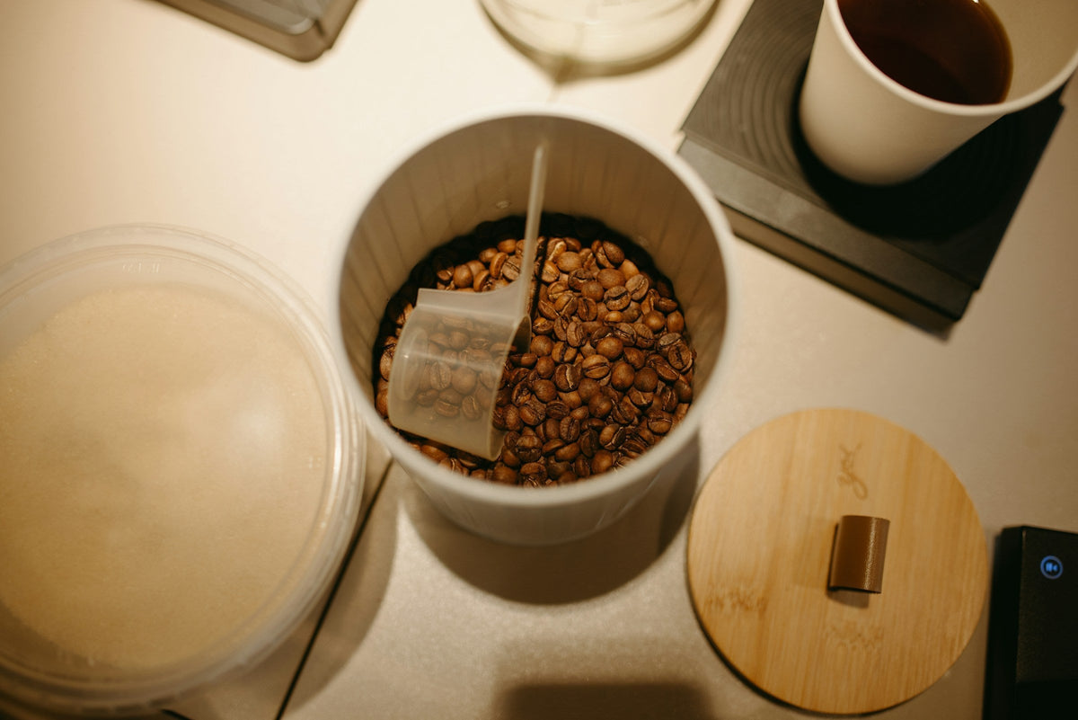 How to Store Coffee Beans So They Stay Fresh Longer